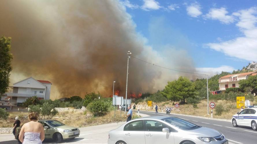 U Žaboriću gori borova šuma, vatrena stihija prijeti kućama