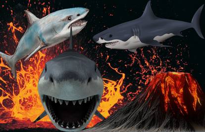 Novo otkriće u Pacifiku: Mutant morskog psa, podvodni vulkan i erupcija koja ih šalje u zrak?!