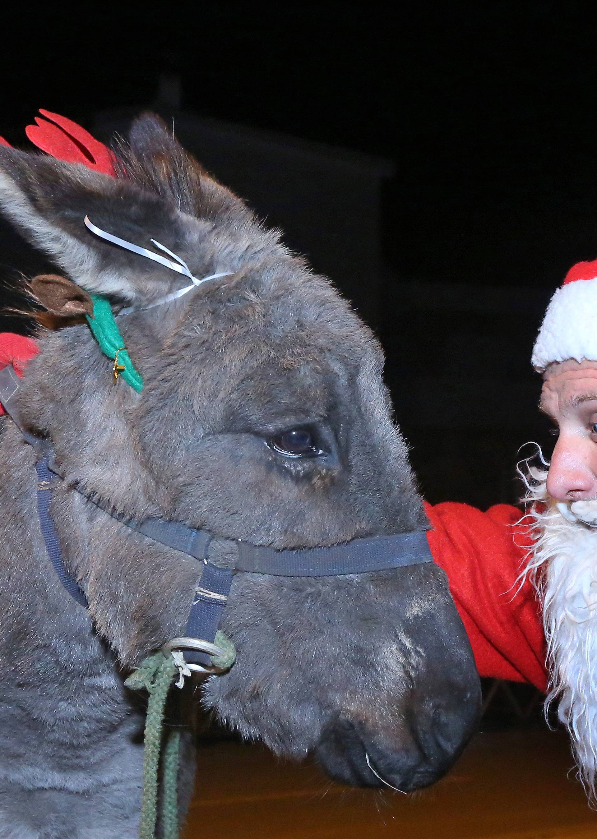 Djed Mraz u Tribunj dojahao na tovaru: Dijelio je poklone djeci