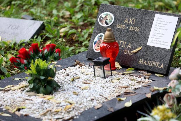 Rijeka: Groblje kućnih ljubimaca na Kozali