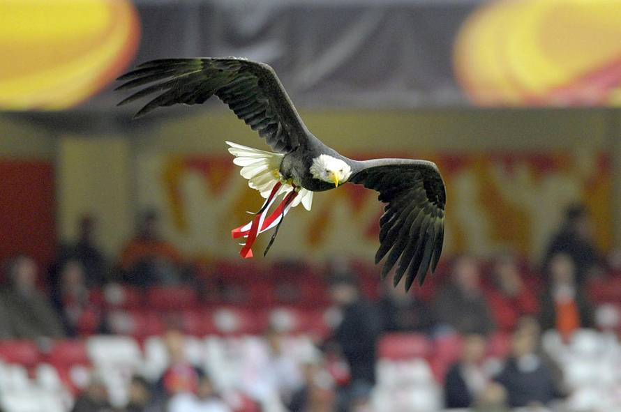 Lisabon: Europska liga, Benfica Lisbon - Hertha BSC