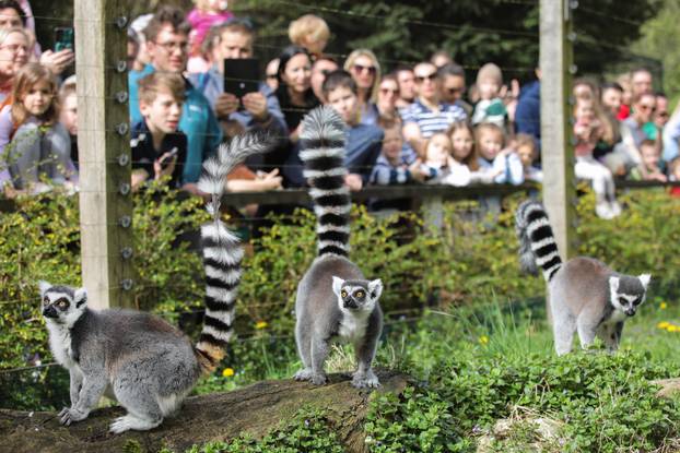 Zagreb: Tradicionalna podjela pisanica životinjama u Zoološkom vrtu Grada Zagreba
