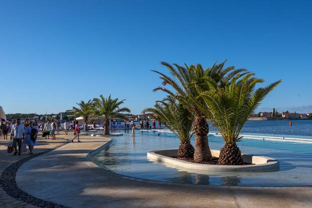 Održana plivačka manifestacija Porečki delfin