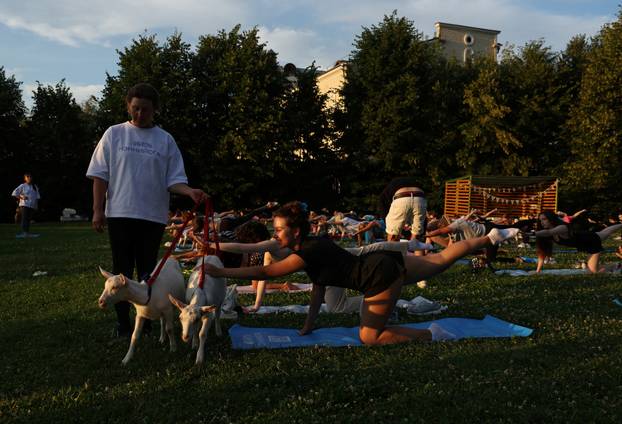 People practice yoga with baby goats in Moscow