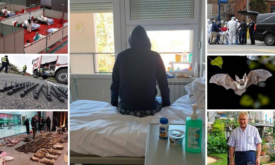 Sto dana korone: Od tržnice u Kini do smrti u Brtonigli u Istri