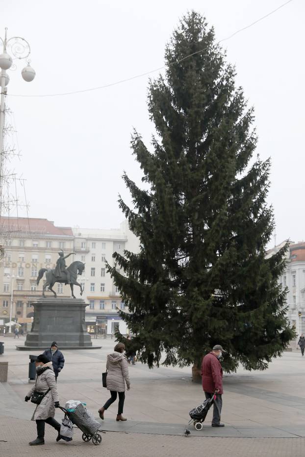 Zagreb: Na glavnom gradskom Trgu postavljen bor