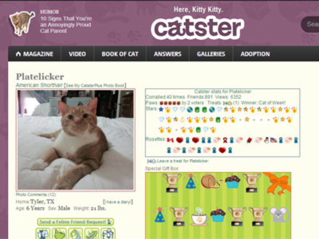 Catster screenshot