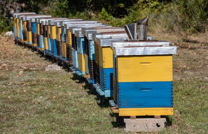 U Istri otvorili sajam pčelarstva i poljoprivrede: Stigli izlagači iz Italije, Slovenije i Njemačke