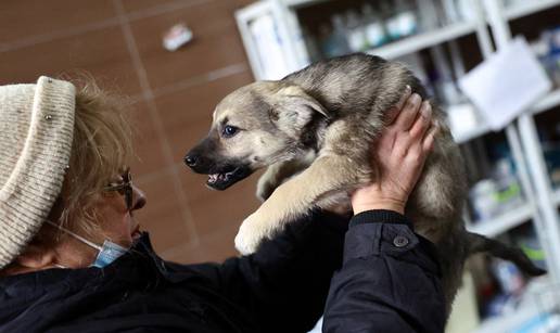 Poljski veterinar spasio 260 pasa i mačaka iz Ukrajine