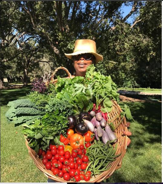 Oprah Winfrey u Dubrovniku: S prijateljima uživa u kupanju...