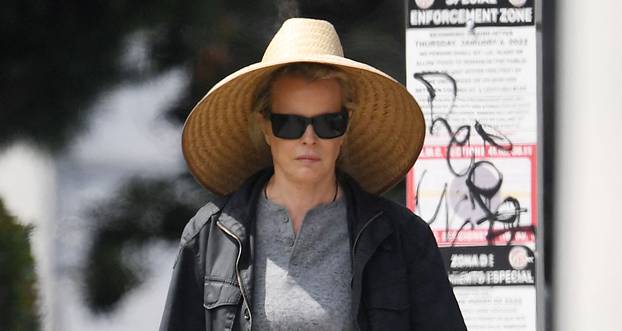 EXCLUSIVE: Kim Basinger looks unrecognizable while running errands in L.A.