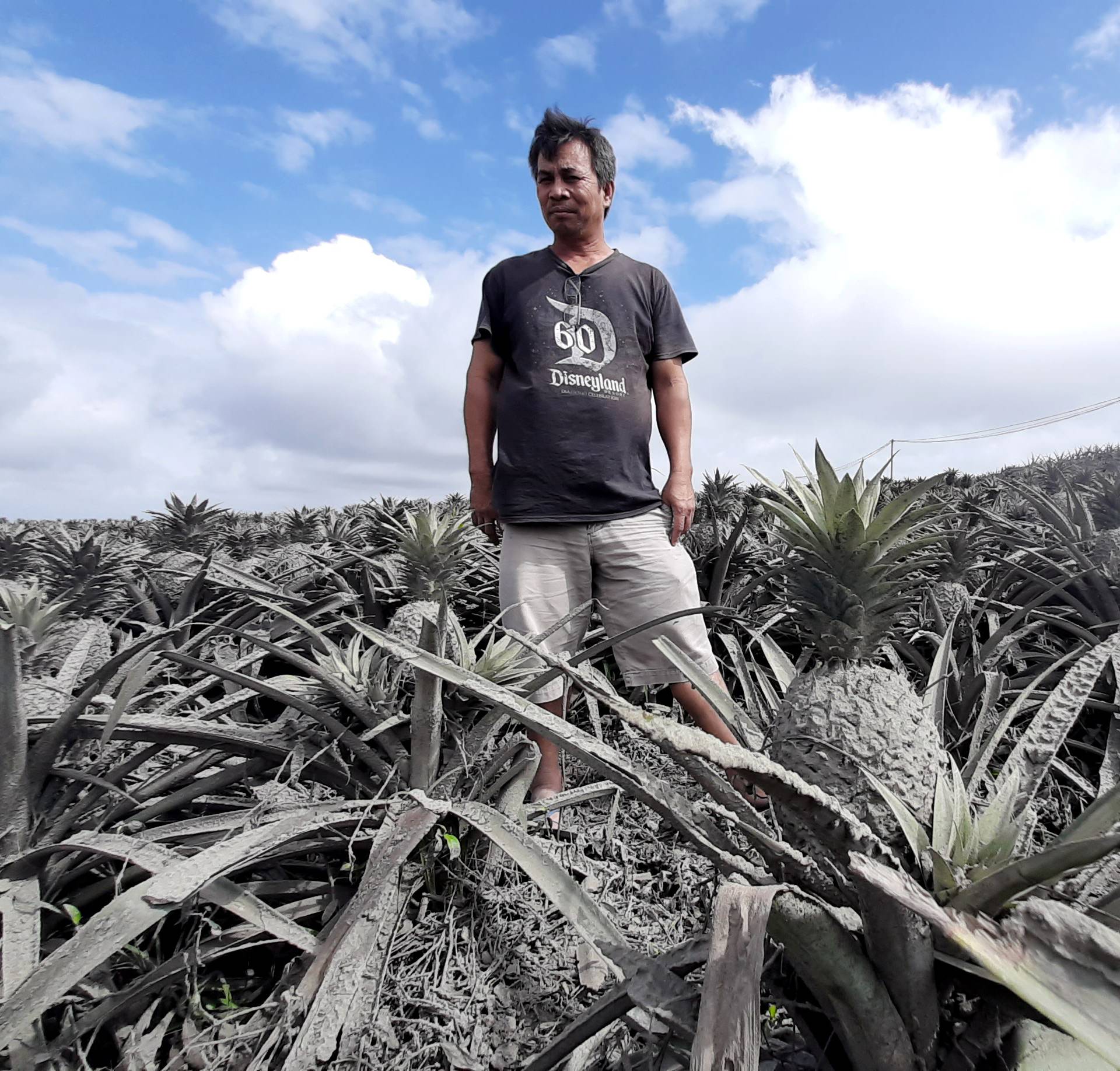 Farmer Jack Imperial, 49, poses for a portrait in his pineapple plantation covered with ash from the erupting Taal Volcano