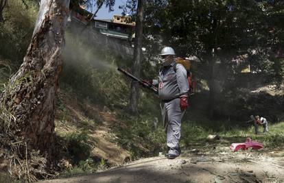 Zagorje drhti: Stižu vrlo opasni komarci, prenose i Zika virus