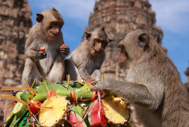 Annual Monkey Festival resumes in Thailand's Lopburi province