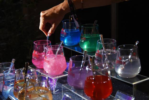 Rovinj: Svečano otvaranje 4. izdanja GinIstre