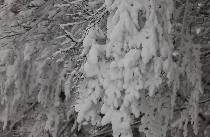 Zagreb: Započela skijaška sezona na Sljemenu 