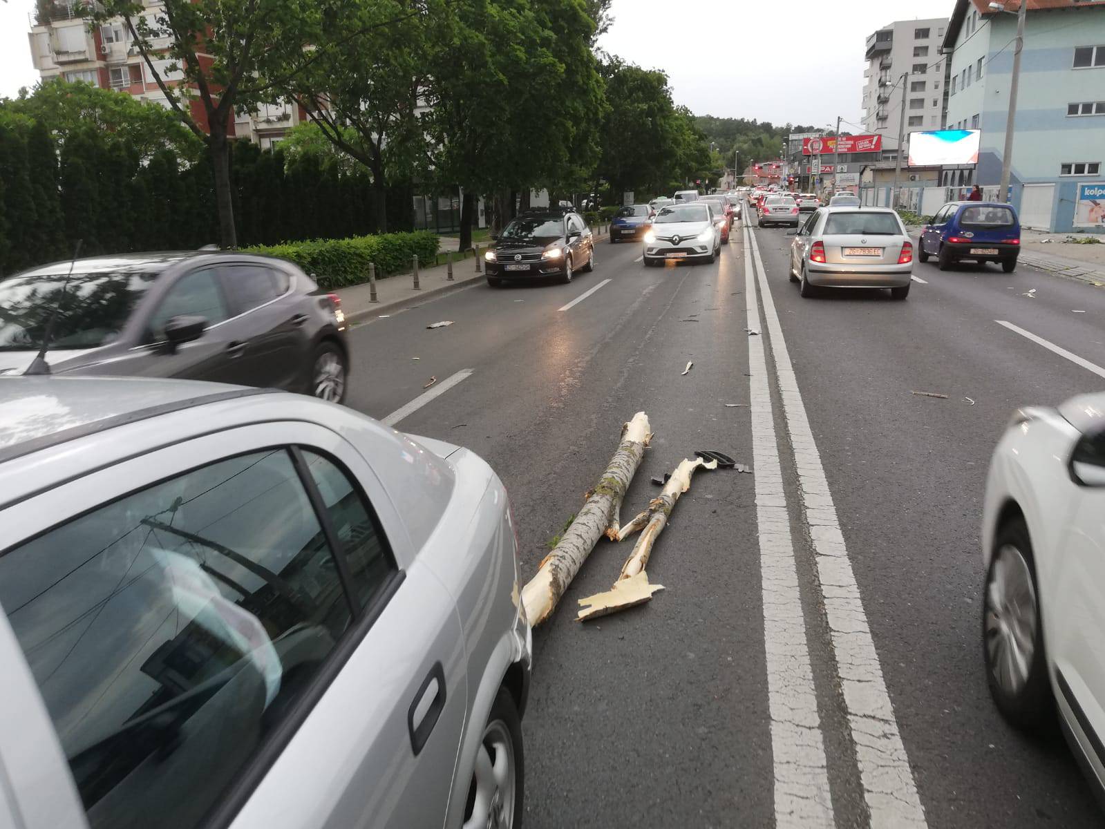 Olujni vjetar iščupao je stablo, ogradu, nabujale su rijeke...