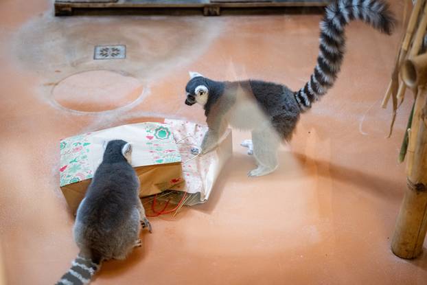 Zagreb: Podjela darova životinjama u Zoološkom vrtu