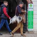 Mu&scaron;karac u Zagrebu privukao pa&zcaron;nju na&ccaron;inom na koji nosi psa