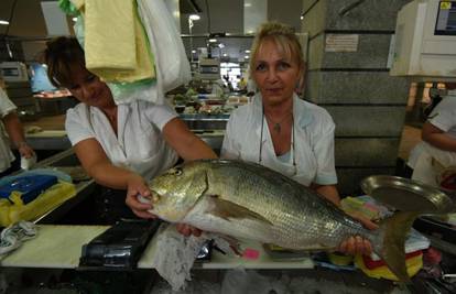 Zubatac: Snažna i brza riba koju vole restorani
