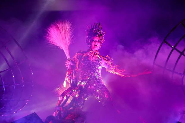 Carnival in Rio de Janeiro