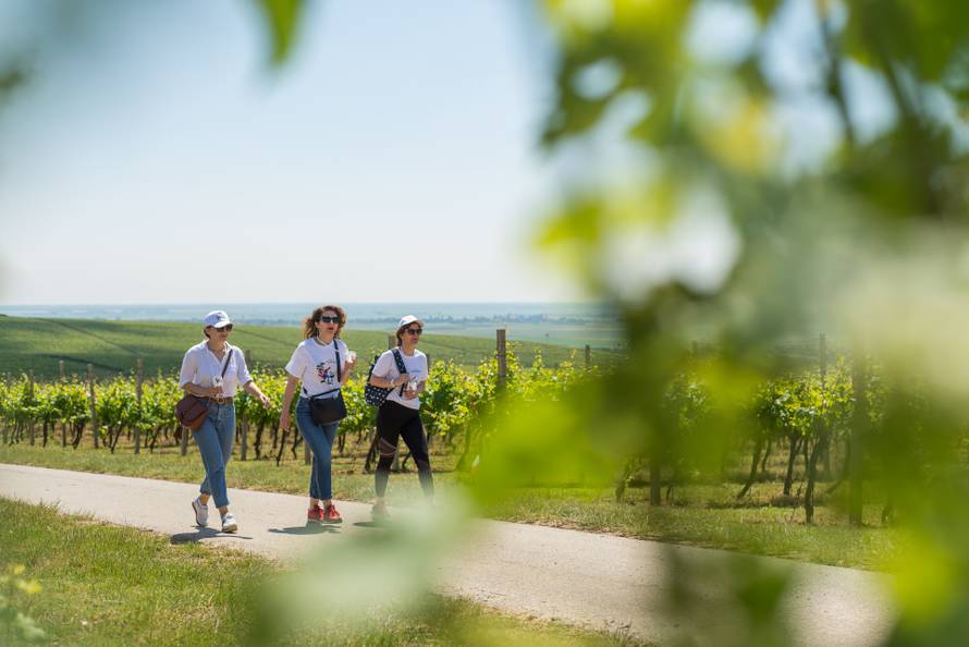 Baranja - turistička destinacija velikog srca