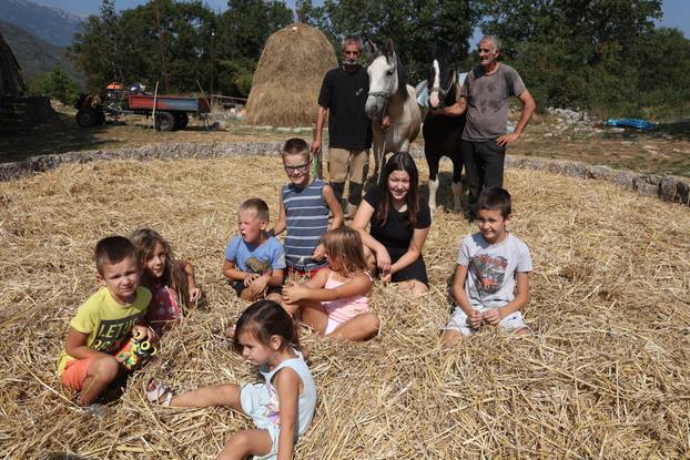 Zagvozd: Vršidba žita na starinski način