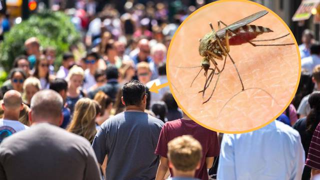 Komarci najviše vole ova 4 tipa ljudi - 'nanjuše' ih u mnoštvu