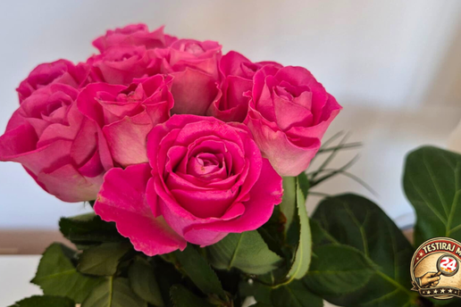 Je li pra&scaron;ak koji dobivamo uz buket cvije&cacute;a koristan? Testirala sam i prili&ccaron;no se iznenadila