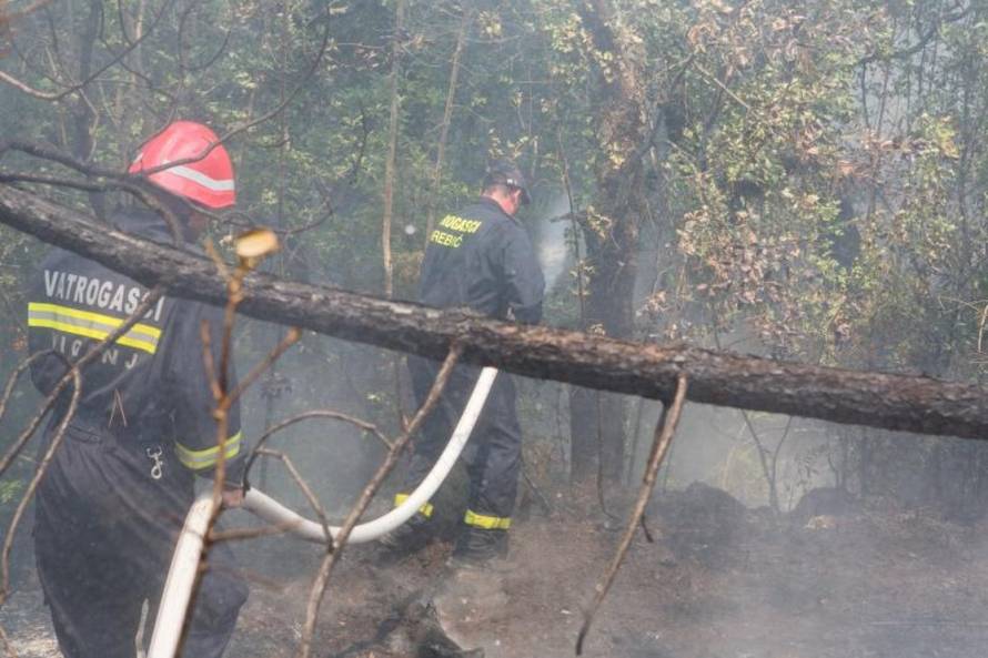 Grgo Jelavić/Pixsell