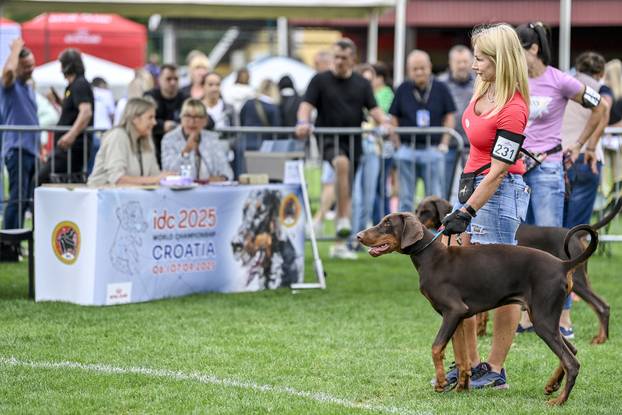 Velika Gorica: IDC Svjetsko prvenstvo pasmine doberman