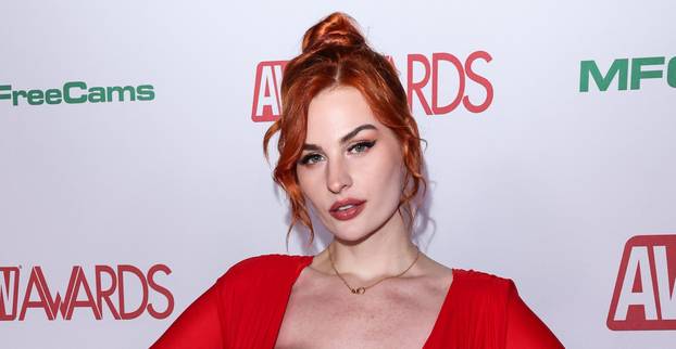 2026 AVN Awards Nominations Party