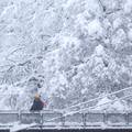 Zbog snijega prekid prometa u dijelovima Bosni i Hercegovini, uvodi se nastava na daljinu