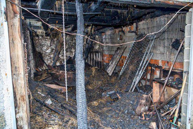 Požar u štali obitelji Gobac: Vatrogasci su spasili mačića