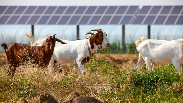 Agrosolari kao način borbe protiv klimatskih promjena: 'Ovo ne smijemo zanemariti'