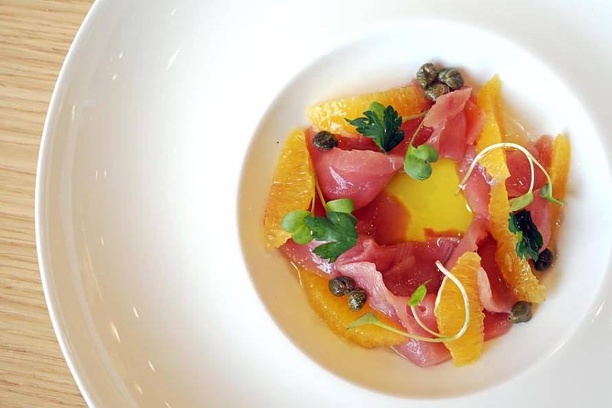 Zimski bijeg na otok: Posjetite Winter Garden u Preku, samo 20 minuta od Zadra!