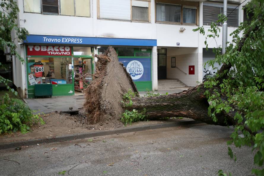 Zagreb: Na četiri automobila srušilo se stablo tijekom nevremena