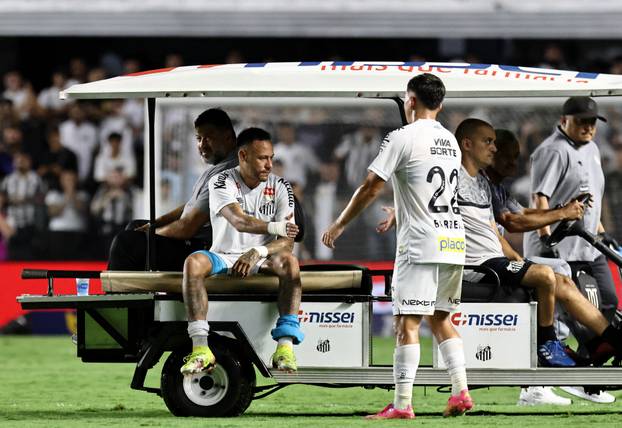 Brasileiro Championship - Santos v Atletico Mineiro