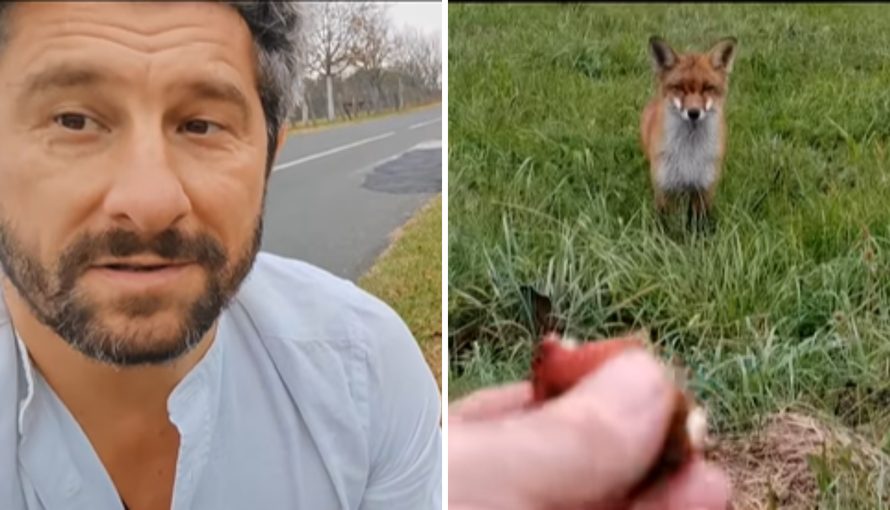 VIDEO Kratko i slatko druženje lisice i Dušana Bućana: 'Ovo je nadrealno iskustvo, definitivno'