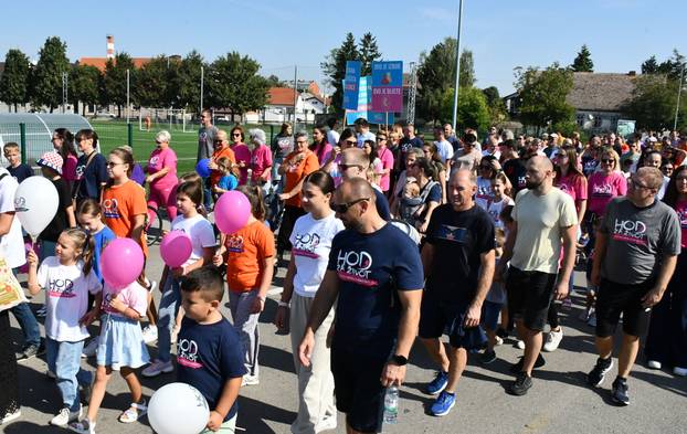 Pogledajte fotografije. U Sl. Brodu održan Hod za život