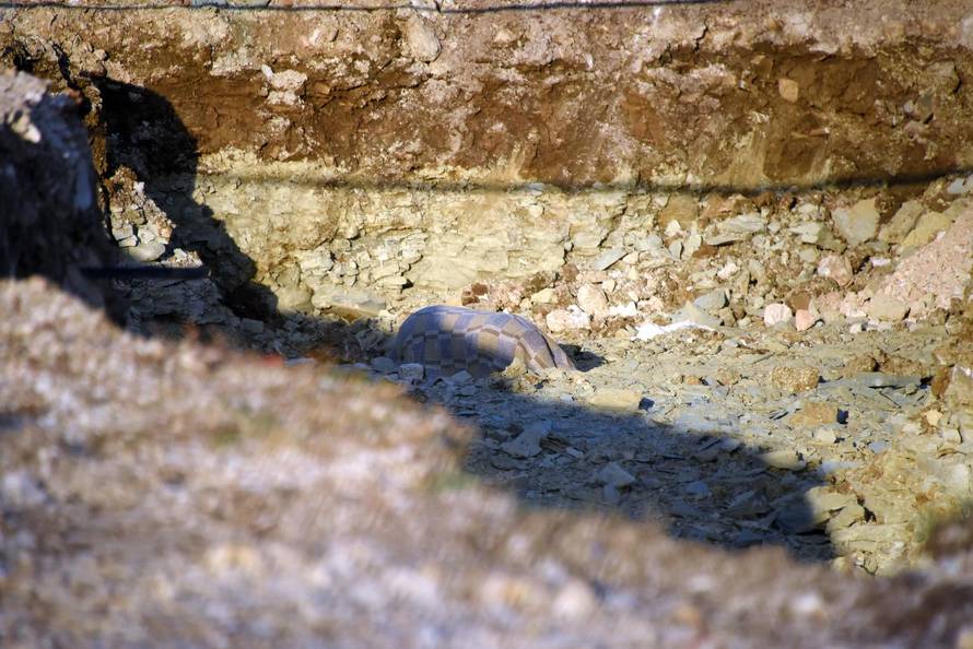 Pula: Iz samog centra Pazina uklonjena zaostala bomba iz Drugog svjetskog rata