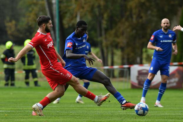 Sveti Martin na Muri: Prijateljska utakmica, NK Polet - GNK Dinamo Zagreb