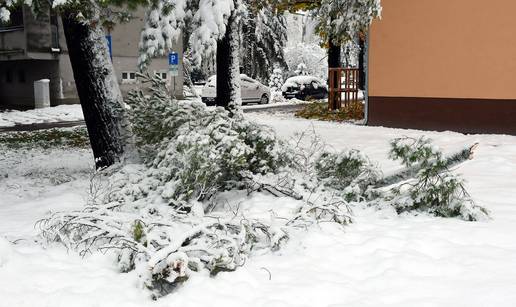 FOTO Zimski prizori: Te&zcaron;ina snijega u Sisku slomila grane