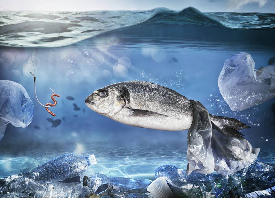 Znanstvenici: Morsko dno blizu Italije je prepuno mikroplastike