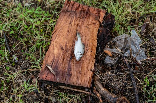 Deadly flooding in Kerr County, Texas