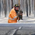 Najgora katastrofa ikad za životinje: Tri milijarde  stradalo je lani u australskim požarima