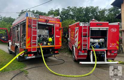 Lokaliziran požar na području Bala, izgorjelo 30-ak hektara trave, makije, šume i maslina