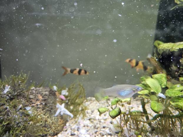 SUPER FOTKE vaših ljubimaca! Neki bi mogli biti viralni hit, ali svi su jednostavno neodoljivi