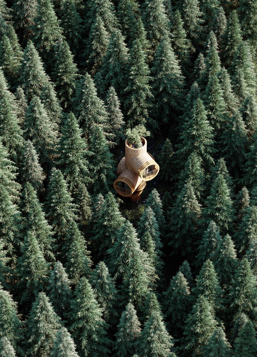 Genijalne kućice na drvetu po uzoru na Malce i Ulicu Sezam
