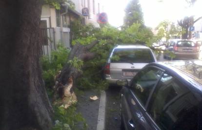 Prvi put parkirao auto na tom mjestu pa mu ga oštetilo stablo